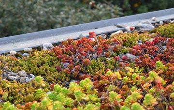 the cost of Carntyne green roof installation