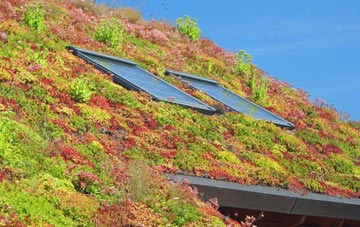 Carntyne living roof systems