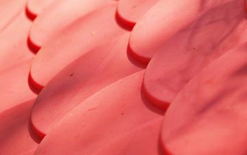 Carntyne plastic roof costs