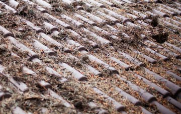 Carntyne roof cleaning companies