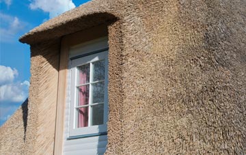 Carntyne thatch roof disadvantages