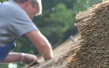 professional Carntyne thatchers