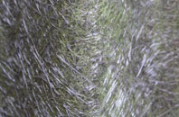 Carntyne fibreglass roof work